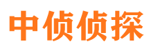 内黄市场调查